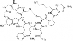 Chemical structure of Terlipressin drug peptide