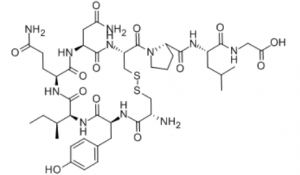 the Chemical structure of Oxytocin from the drug peptide company Remetide