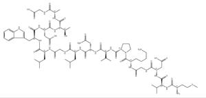 Rac1 Inhibitor W56