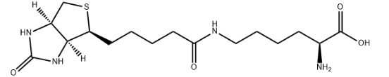 H-Lys(Biotinyl)-OH