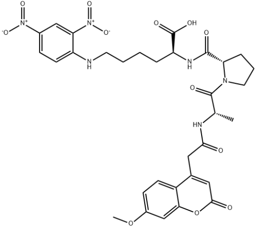 Angiotensin I Converting Enzyme 2