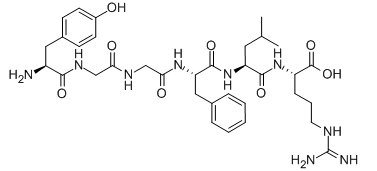 Dynorphin A (1-6)